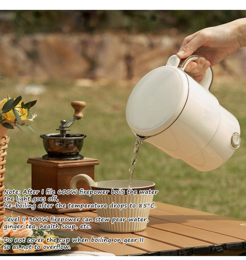 3 in 1 Multifunctional Electric Kettle