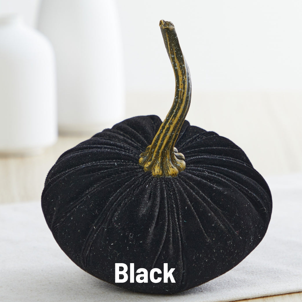 Black Velvet Pumpkin