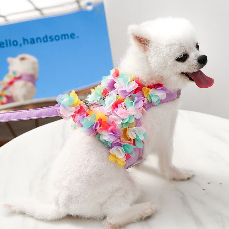 Floral Dog Harness And Leash Set