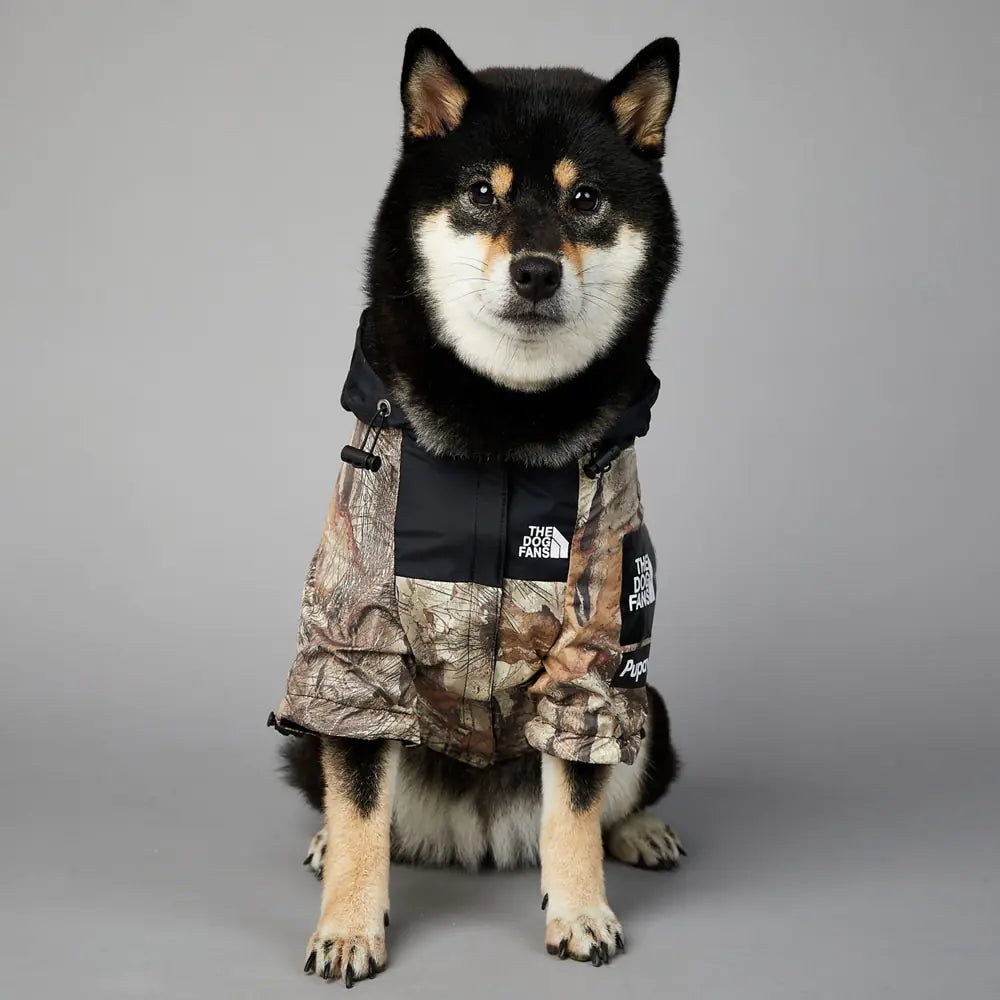 ArcticPup Winter Coat