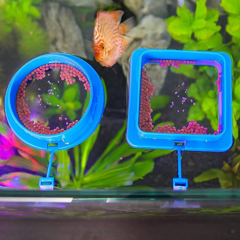Round Square Aquarium Feeding Ring