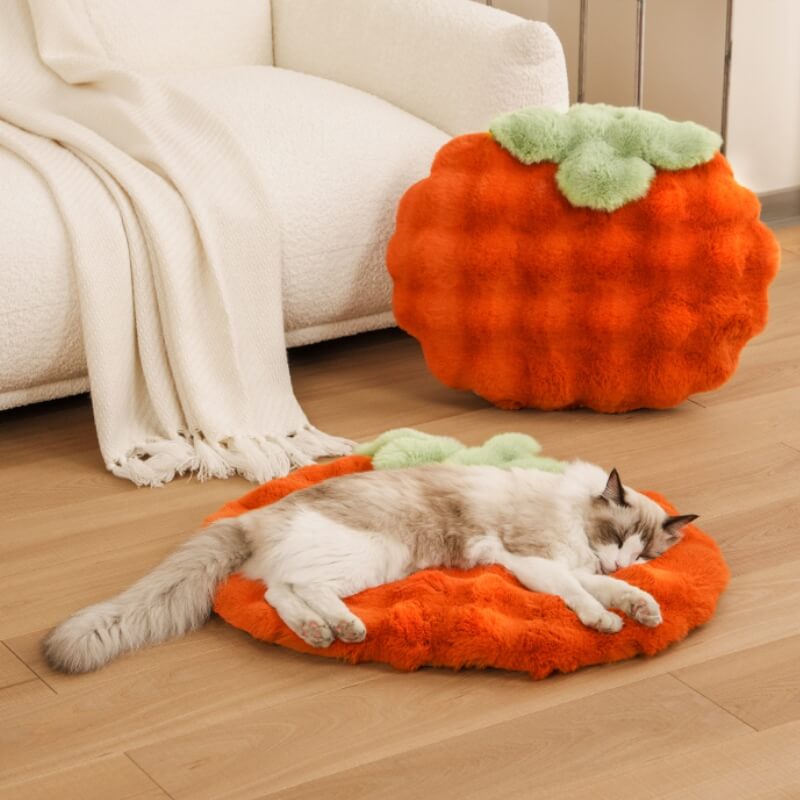 Persimmon Plush Pet Sleeping Pad