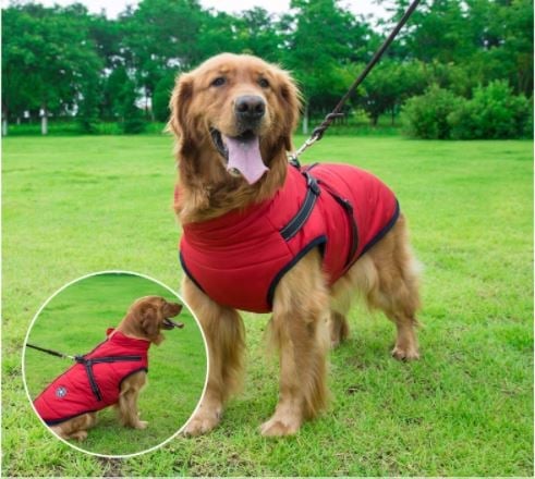 🔥  Promotion 47% OFF - Waterproof Winter Dog Jacket with Built-in Harness