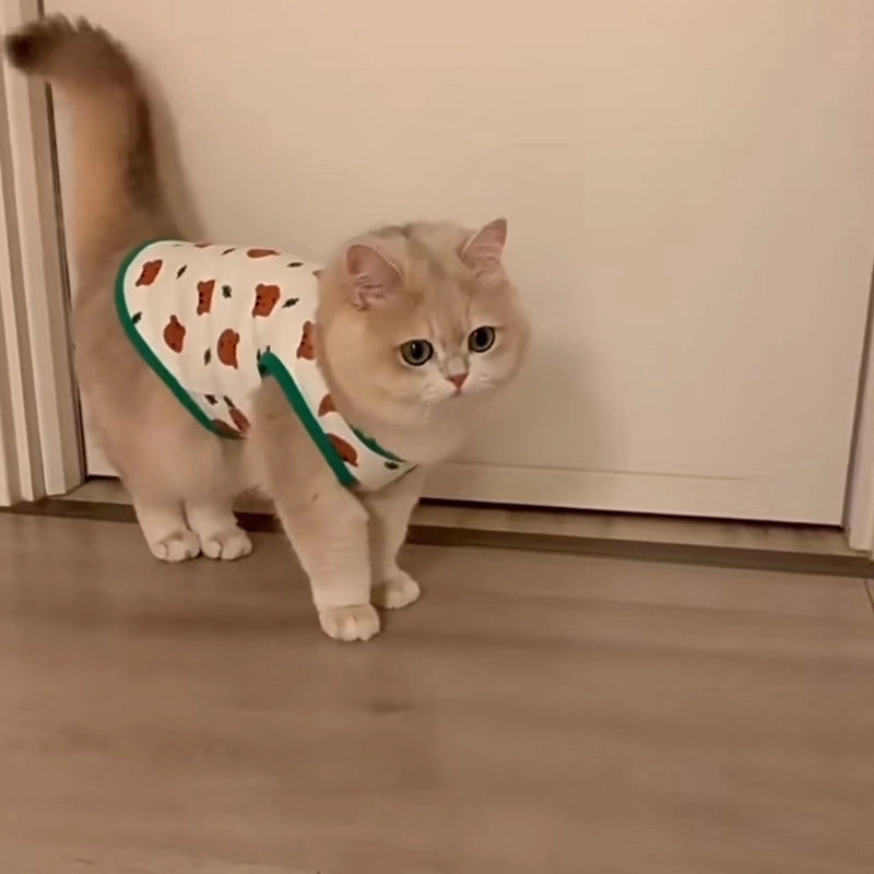 Summer Anti-shedding Thin Blue Cat Clothes Doll Cat Small Dog Teddy Dog Vest Thin British Style Short Clothes