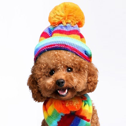 Knitting Pet Hat Scarf Socks Set