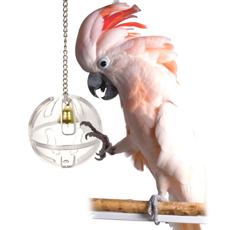 7 Pieces Pack Of Pet Bird Toy