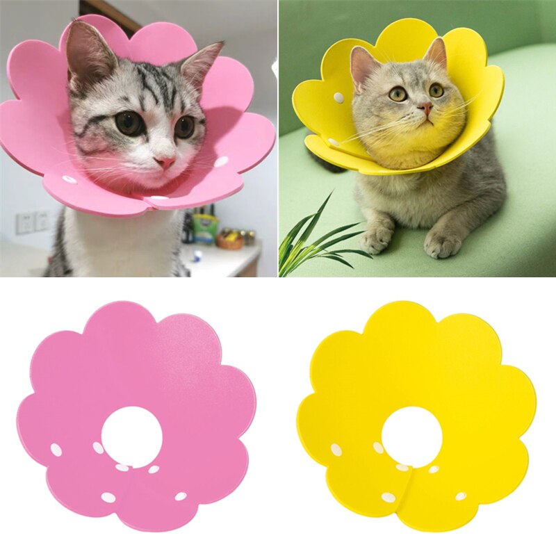 Flower Shaped Cat Neck Recovery Collar