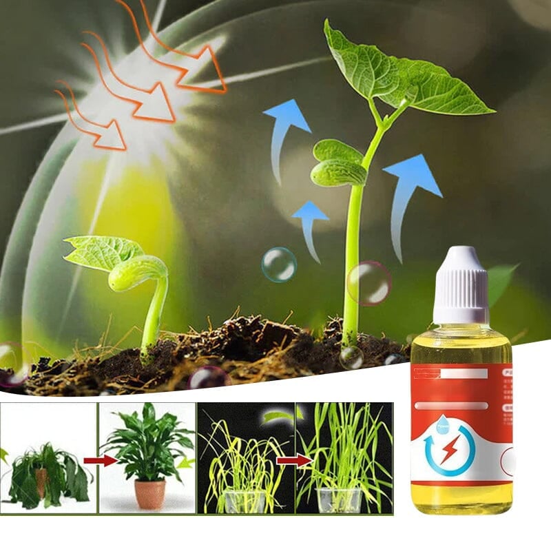 Plant Growth Enhancer Supplement