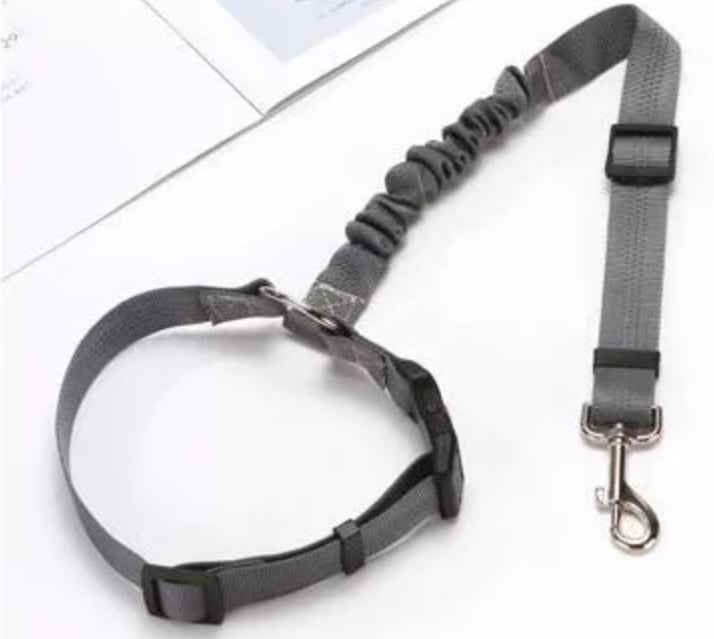 Adjustable Car Dog Leash