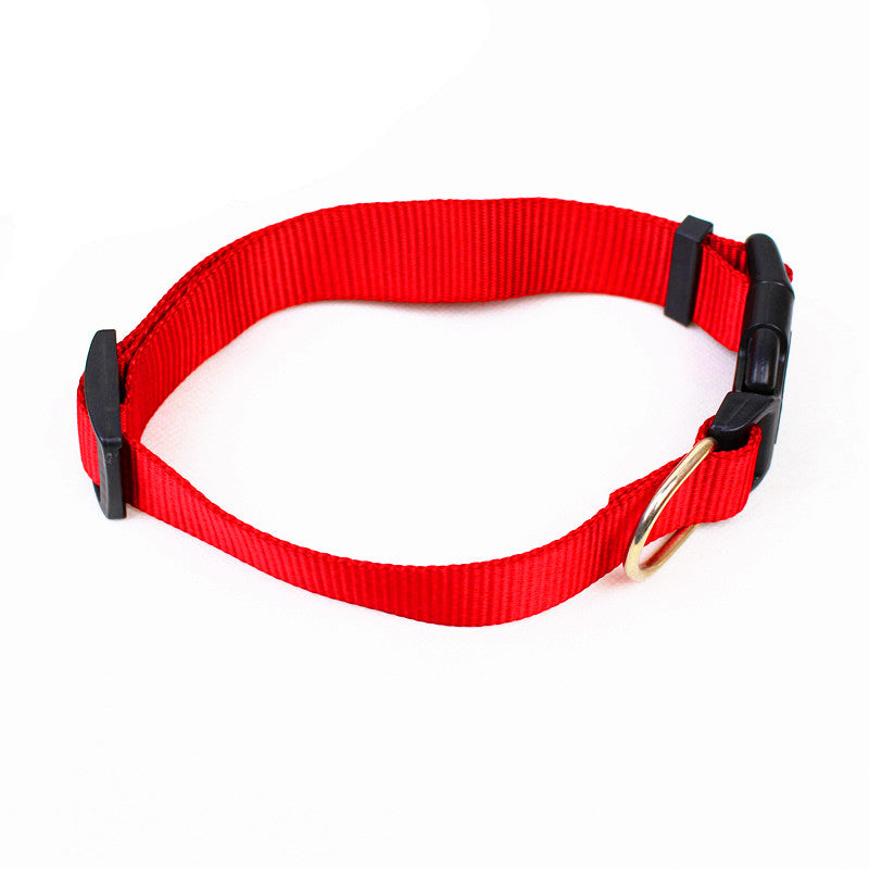 Large Dog Collar