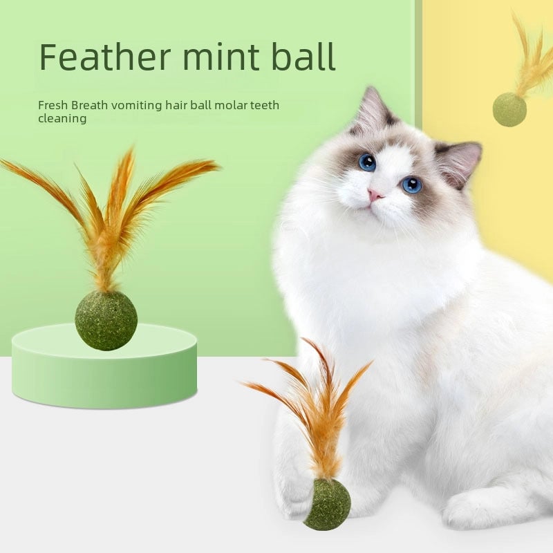 New Cat Mint Ball Cat Feather Toy Ball Cat Teeth Cleaning Molars Hair Removal Ball Cat Grass