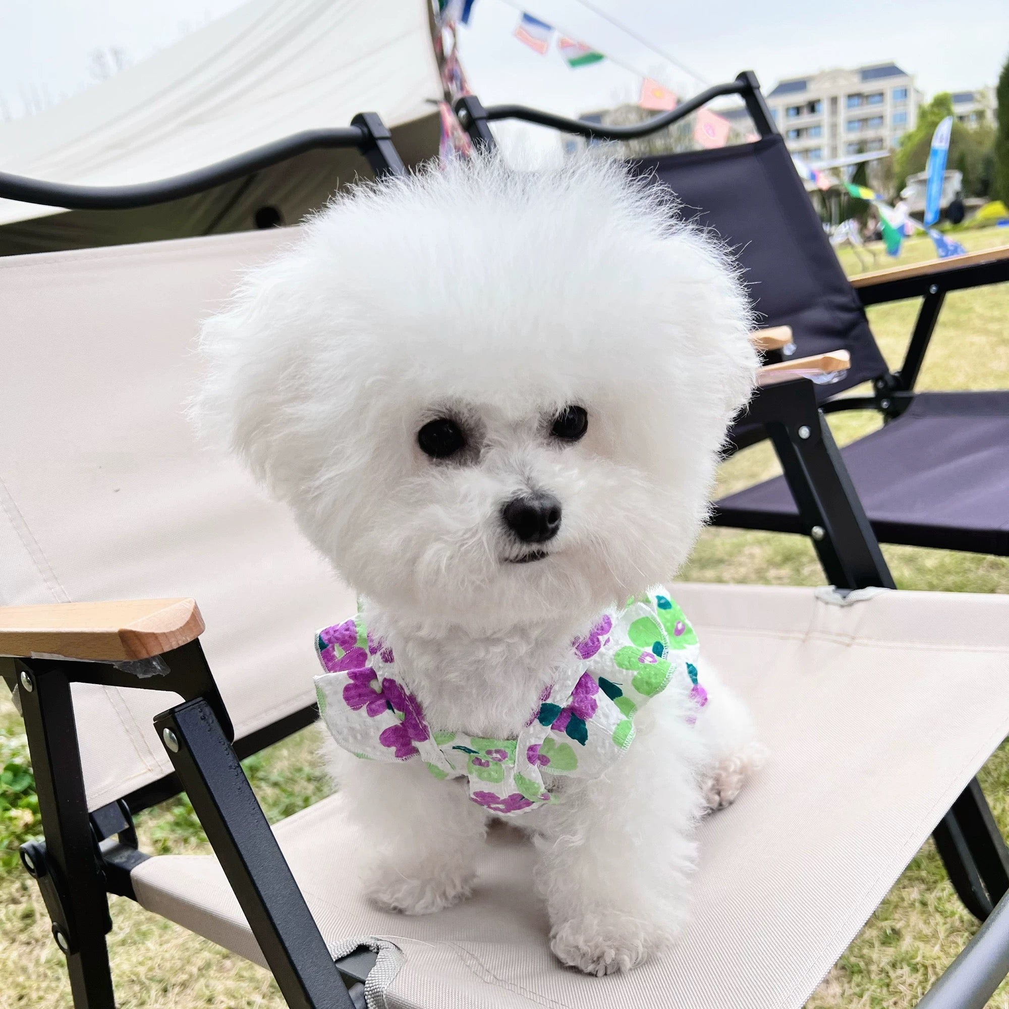 Breathable Sweet Floral Dog Cat Dress