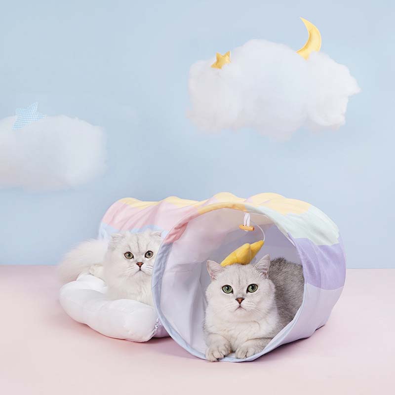 Rainbow Cat Tunnel Bed