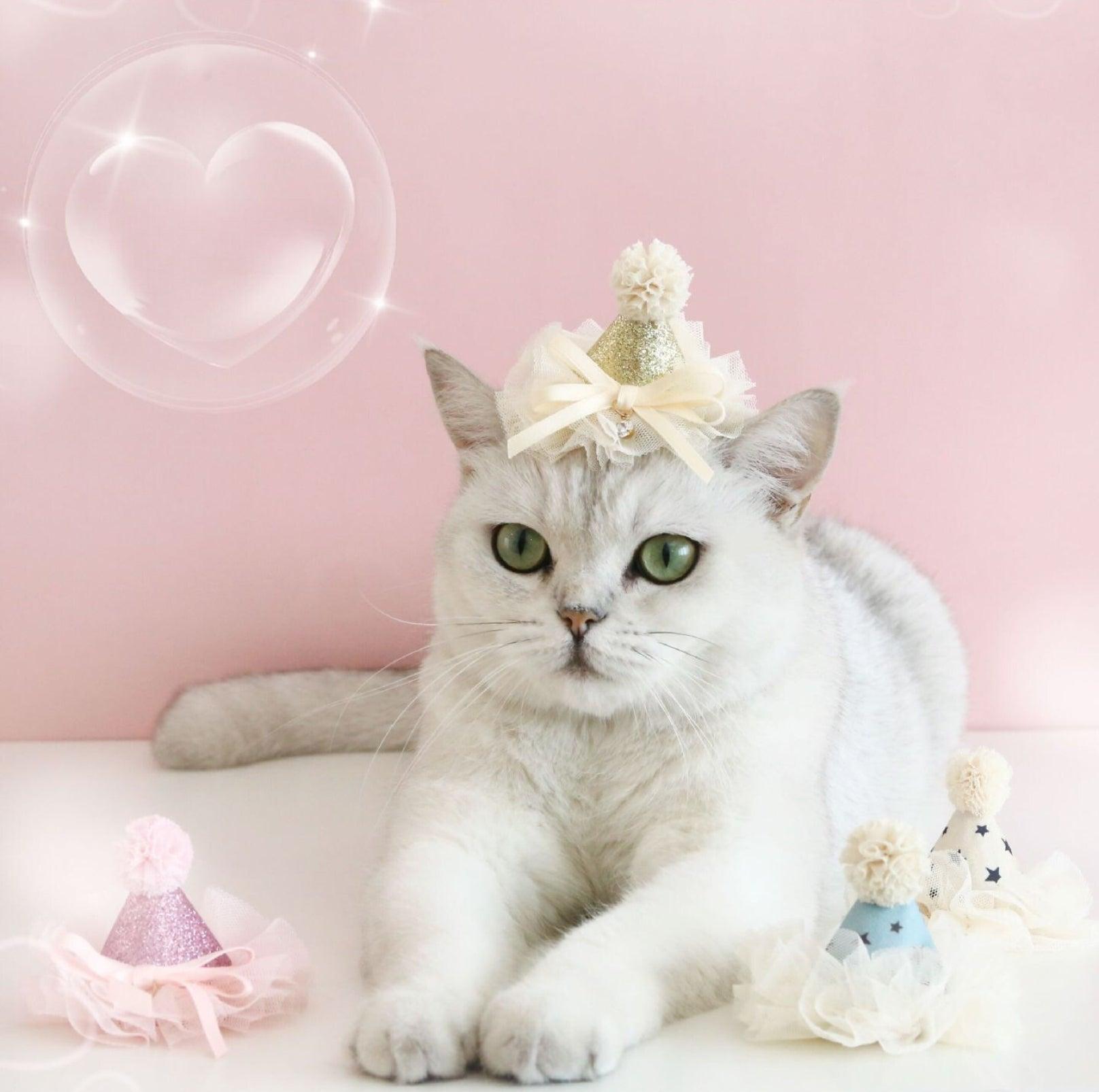 Pet Birthday Hat - Ultimate Party Gear for Pets