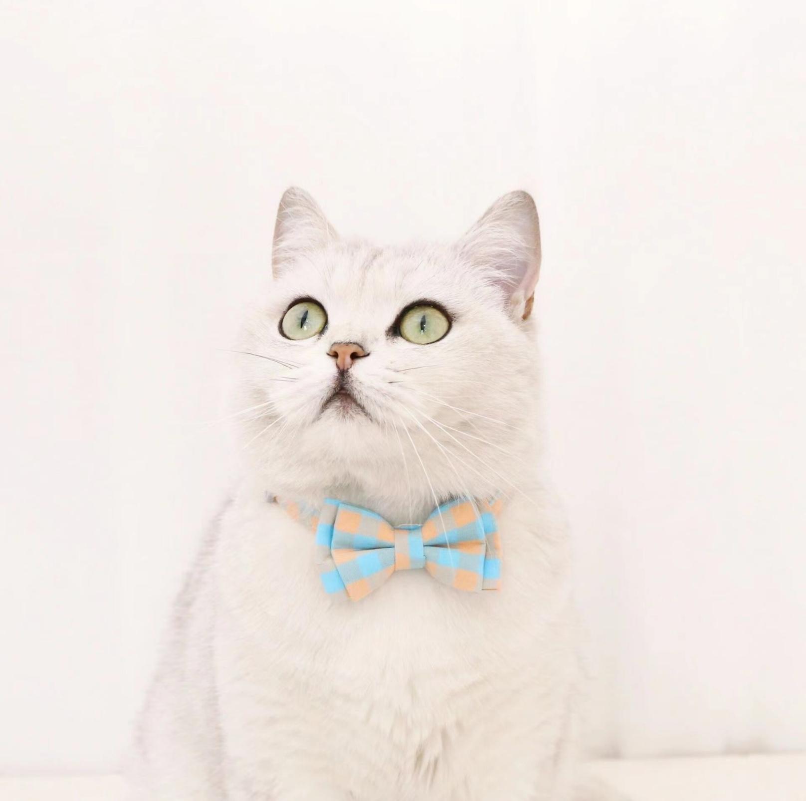 Colourful Plaid Bow Style Adjustable Pet Collar