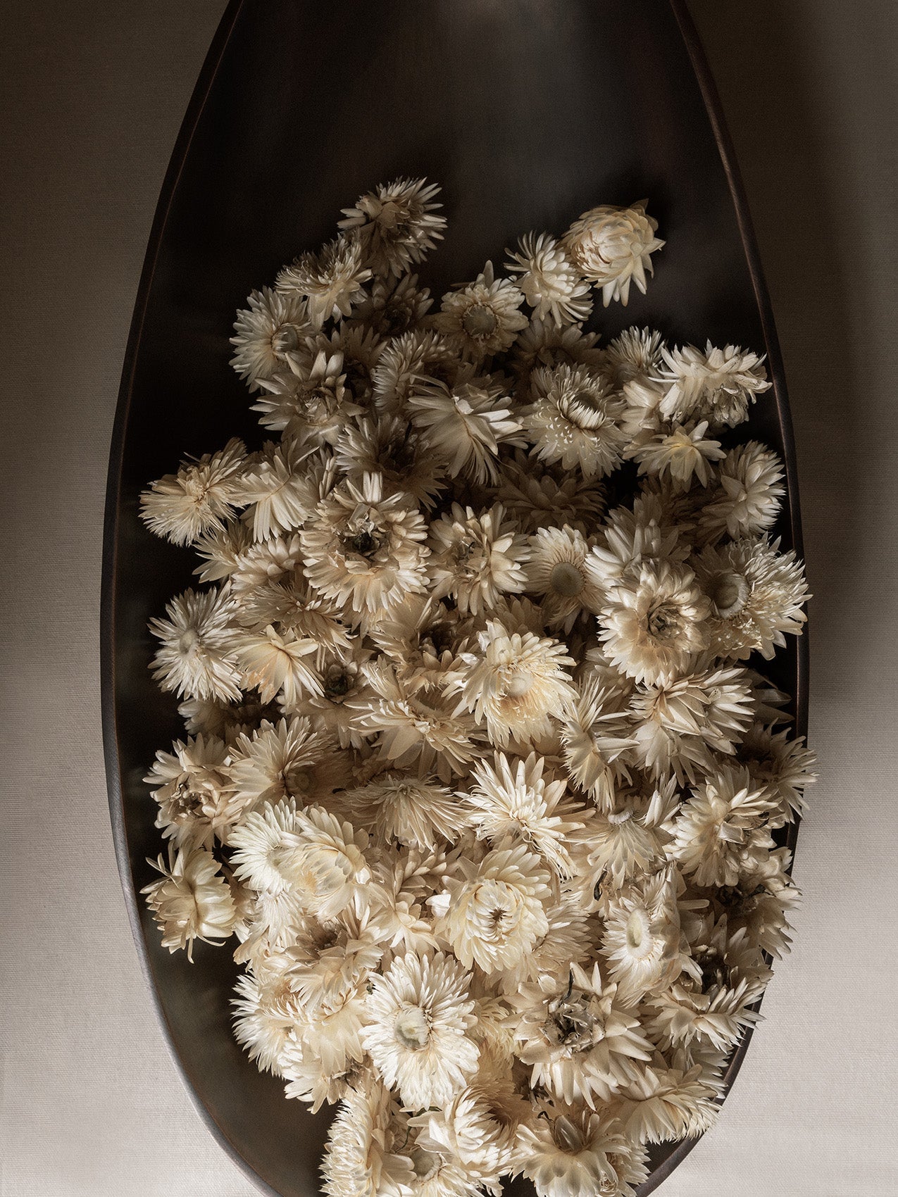 Pavot Centerpiece