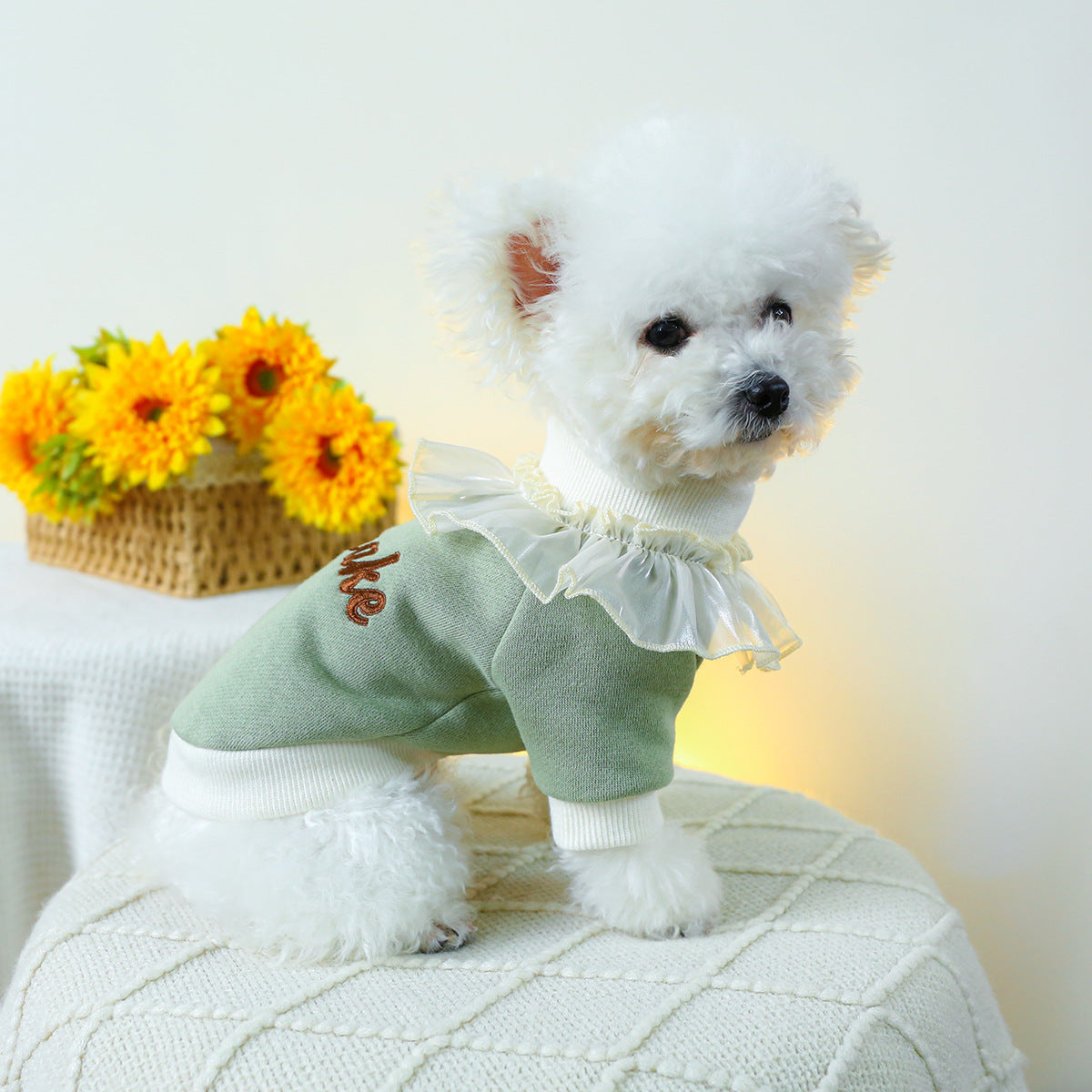 Cupcake Lace Collar Dog Cat Sweatshirt