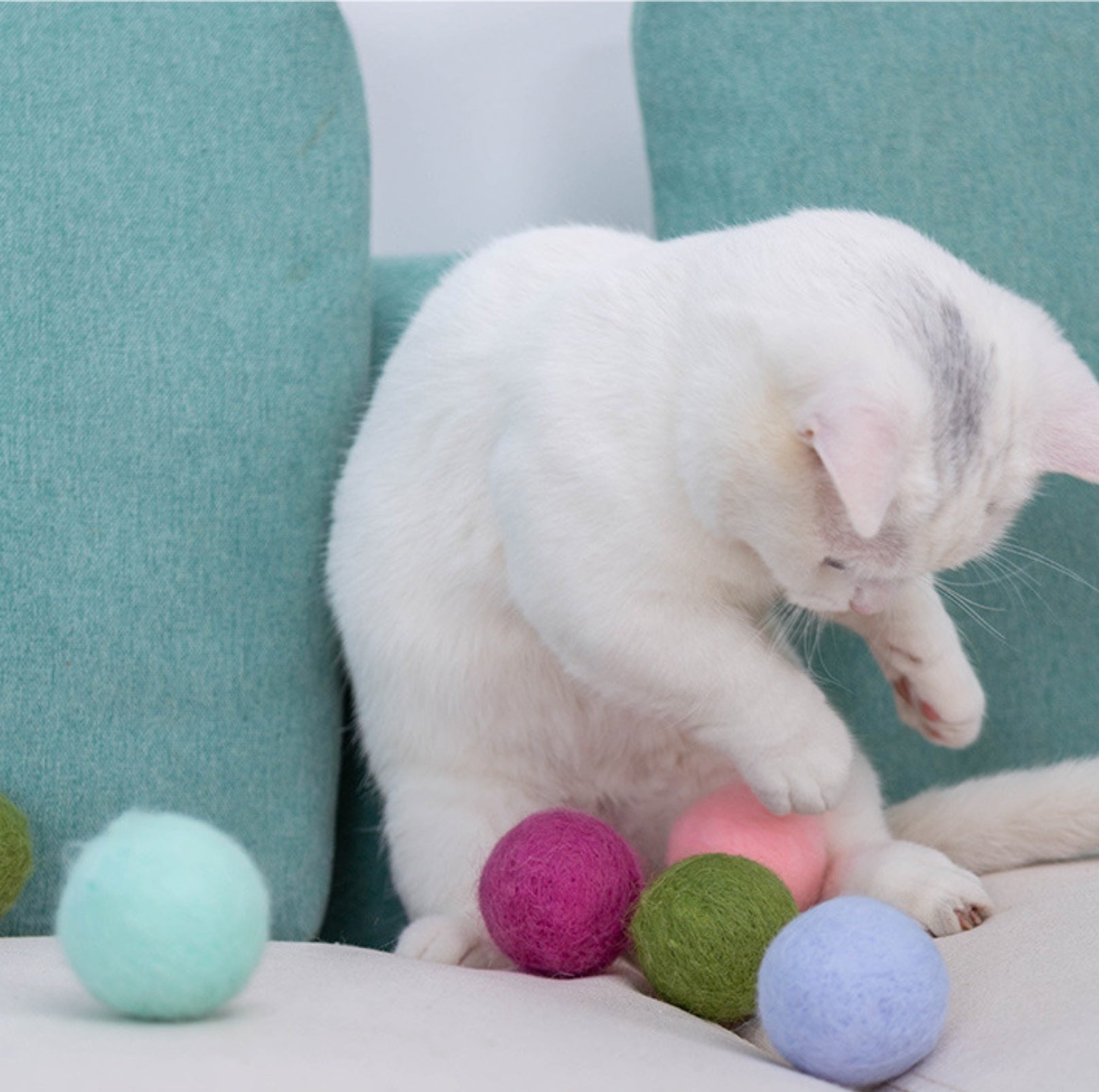 Colourful Woolen Cat/Dog Toy Ball Set (6pcs/comes with random colour)