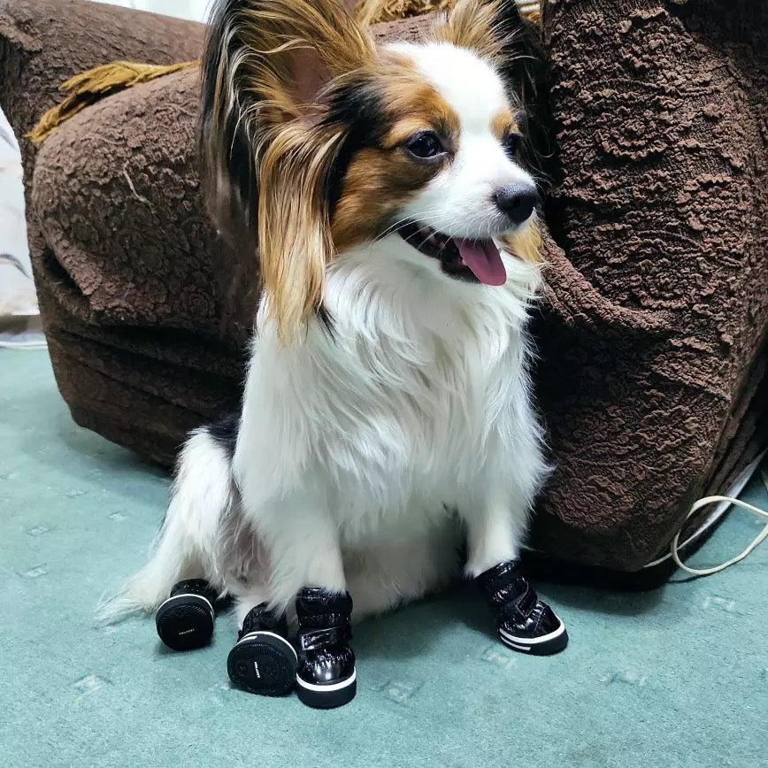 4pcs Waterproof Dog Cat Shoes