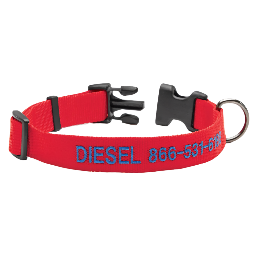 Personalized Side Release Buckle Collar