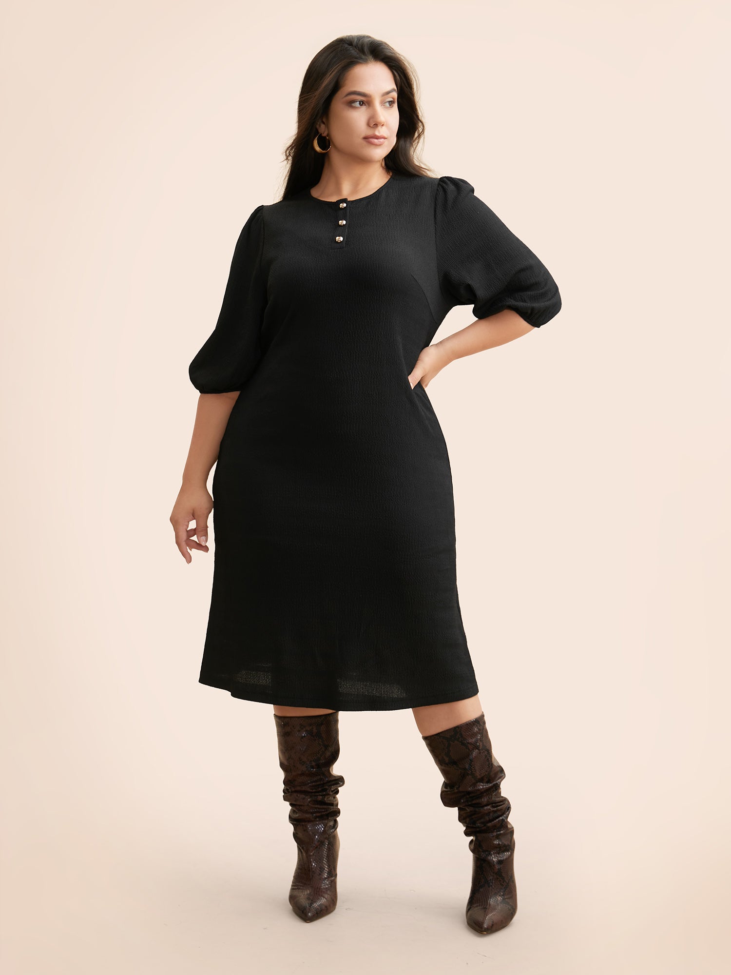 Texture Button Up Puff Sleeve Dress