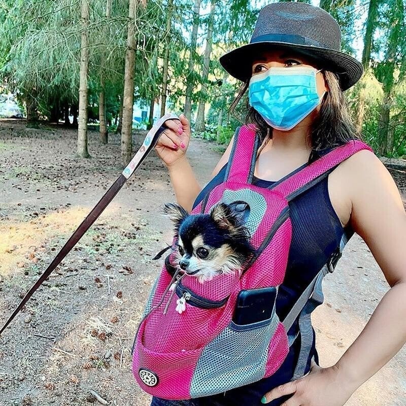 Dog Backpack & Relieve separation anxiety in dogs