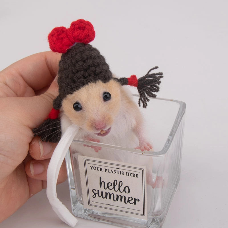 Hamster Hat Parrot Hair Band Photo Small Animal Headdress Handmade Frog Hat Ornaments Hedgehog Headgear Explosions