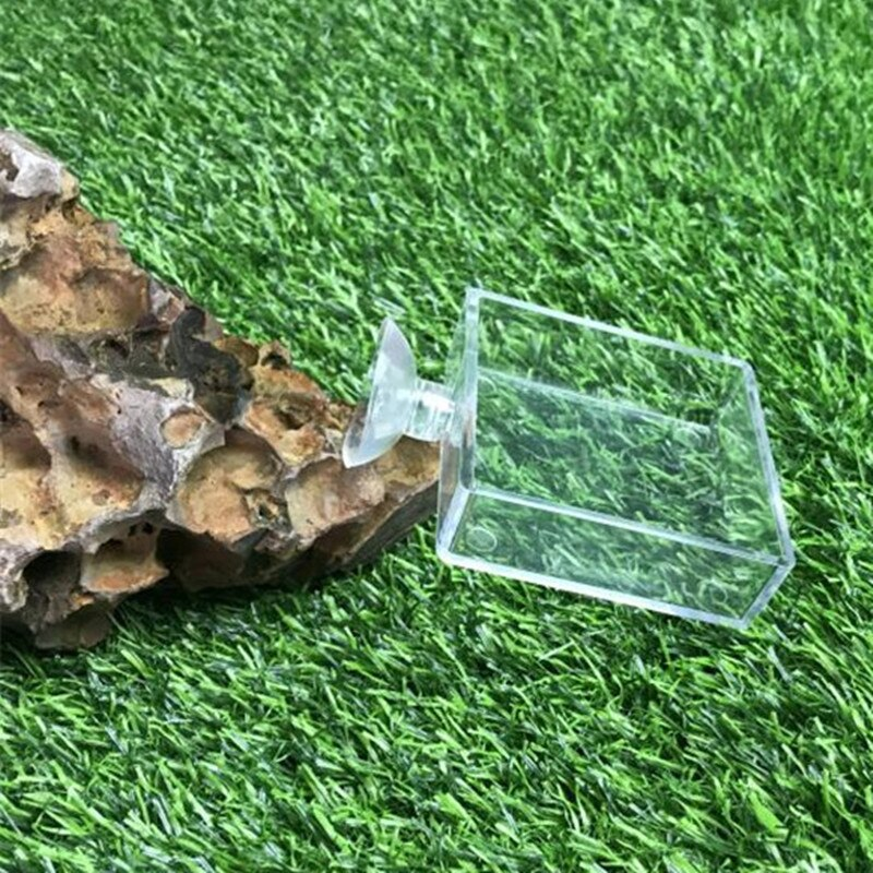 Aquarium Shrimp Glass Feeding Bowl