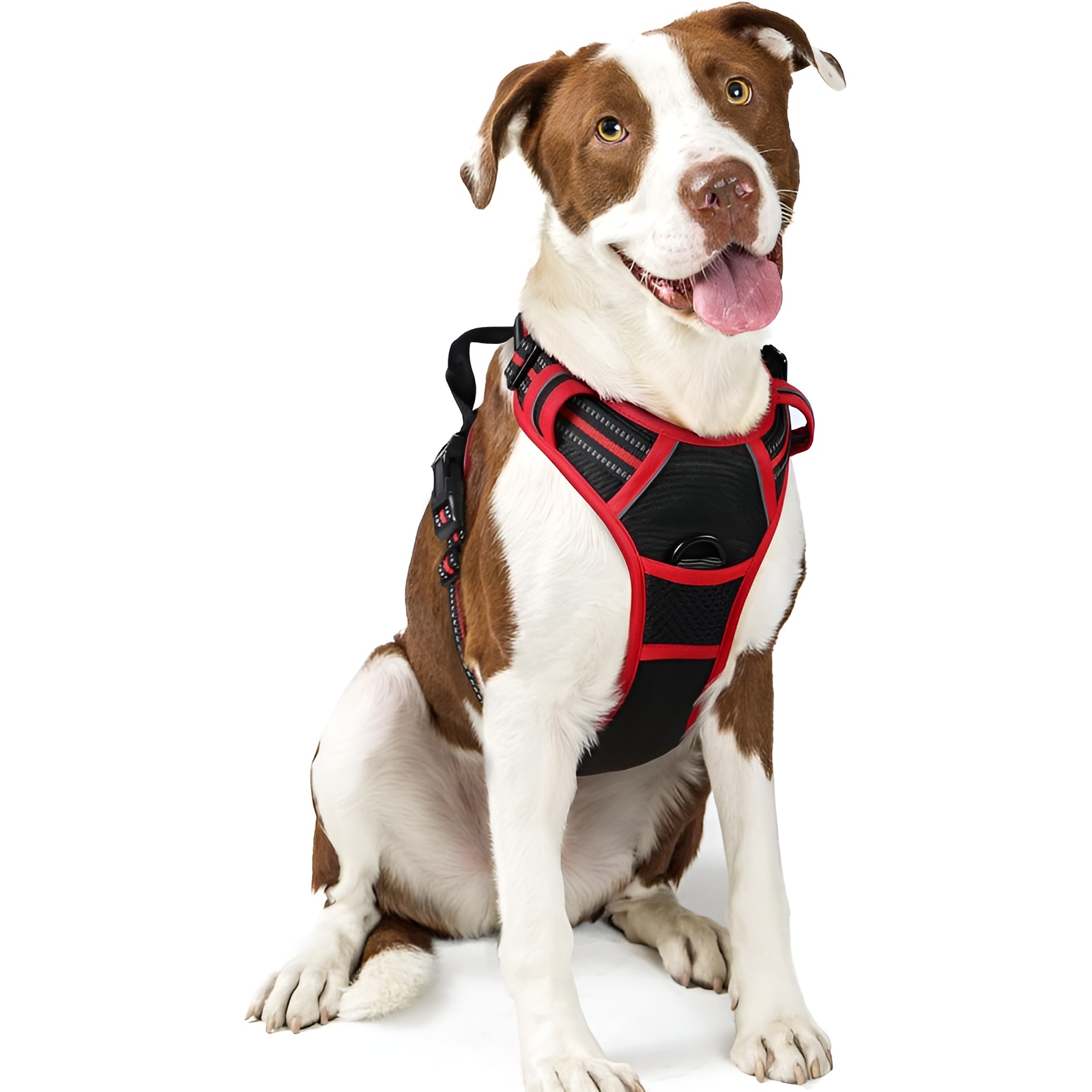 Dog Harness No Pull With 2 Leash Clips