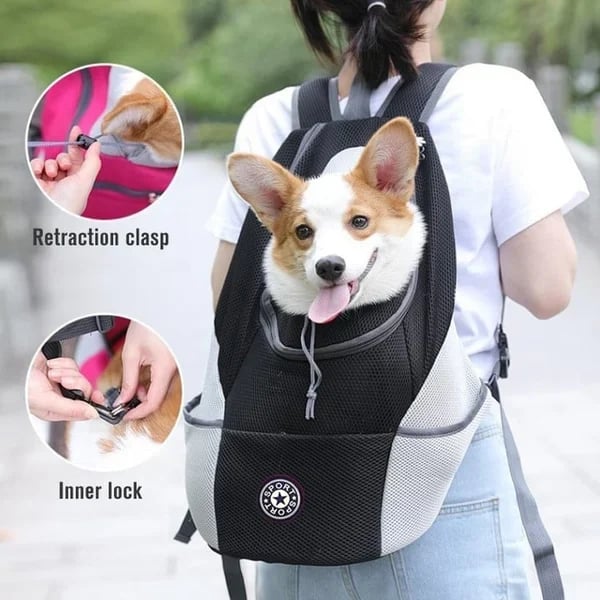 🔥BIG SALE 47% OFF🔥2023 Summer Dog Backpack🐶