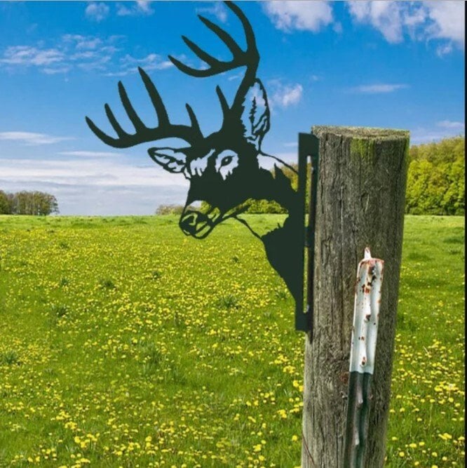 🔥Farm Peeping Animal Metal Art