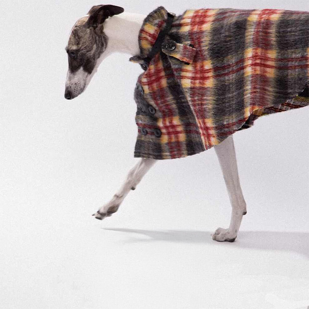 Vintage Plaid Wool With Refined Leather Collar & Button Dog Cape