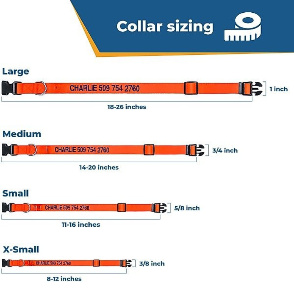 Personalized Adjustable Dog Collar For All Breeds