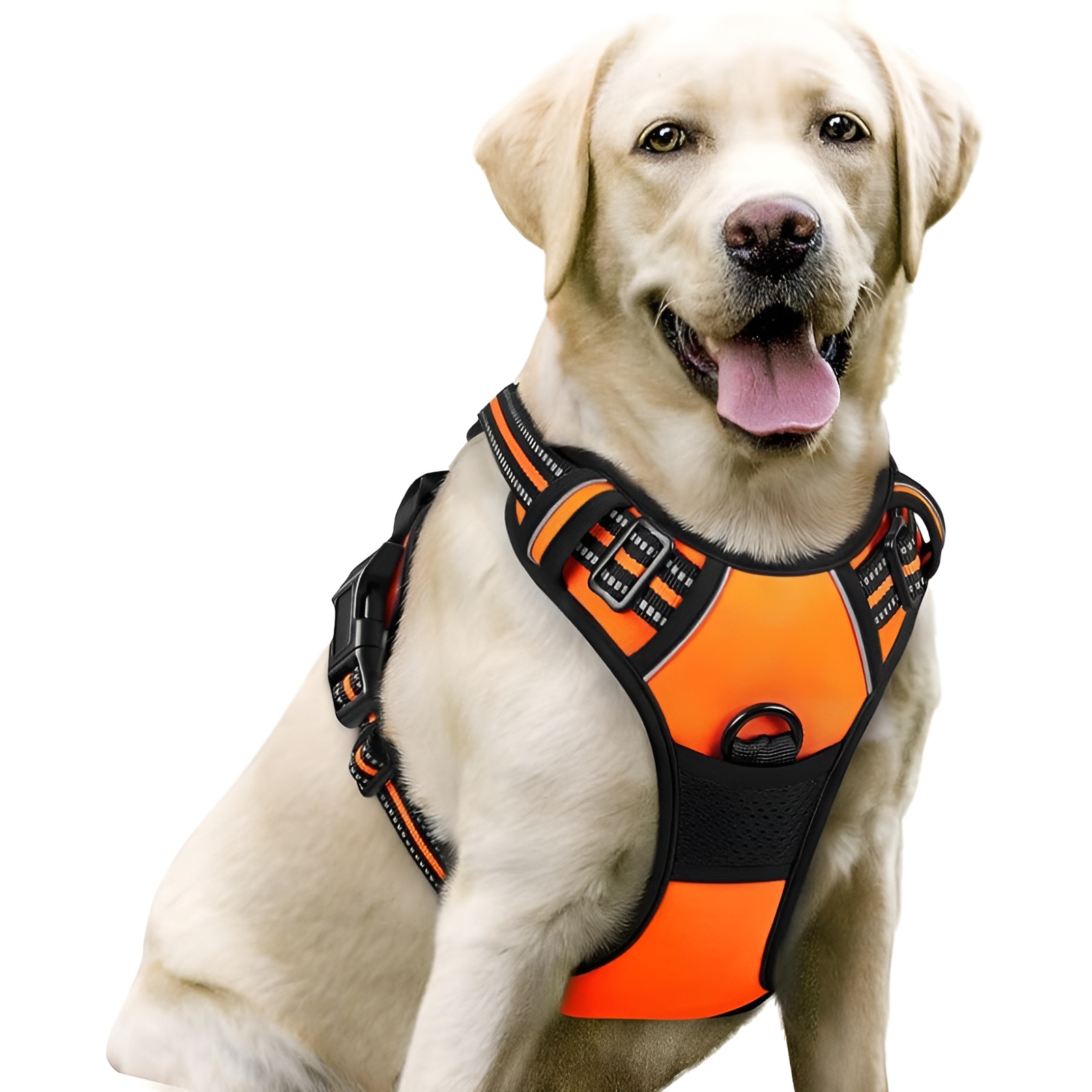Dog Harness No Pull With 2 Leash Clips