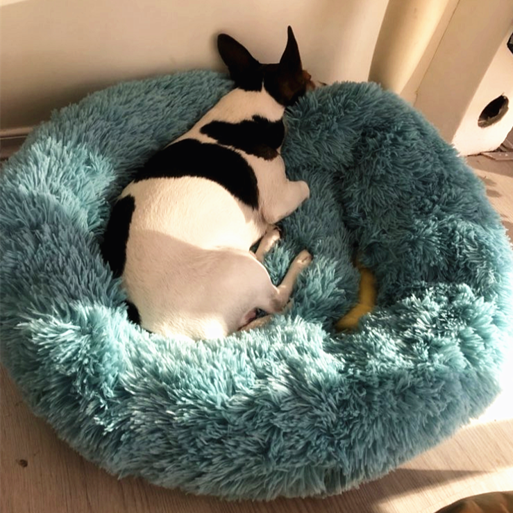 Comfy Calming Dog/Cat Bed