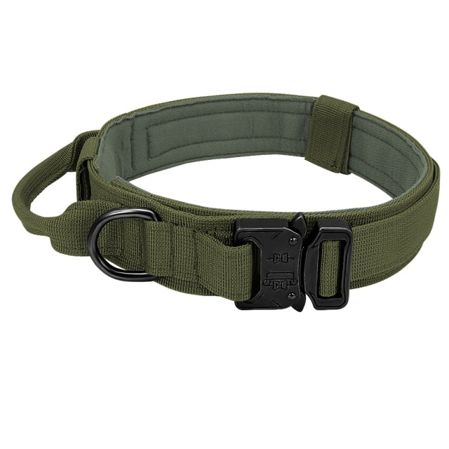 RoamReady Tactical Dog Collar