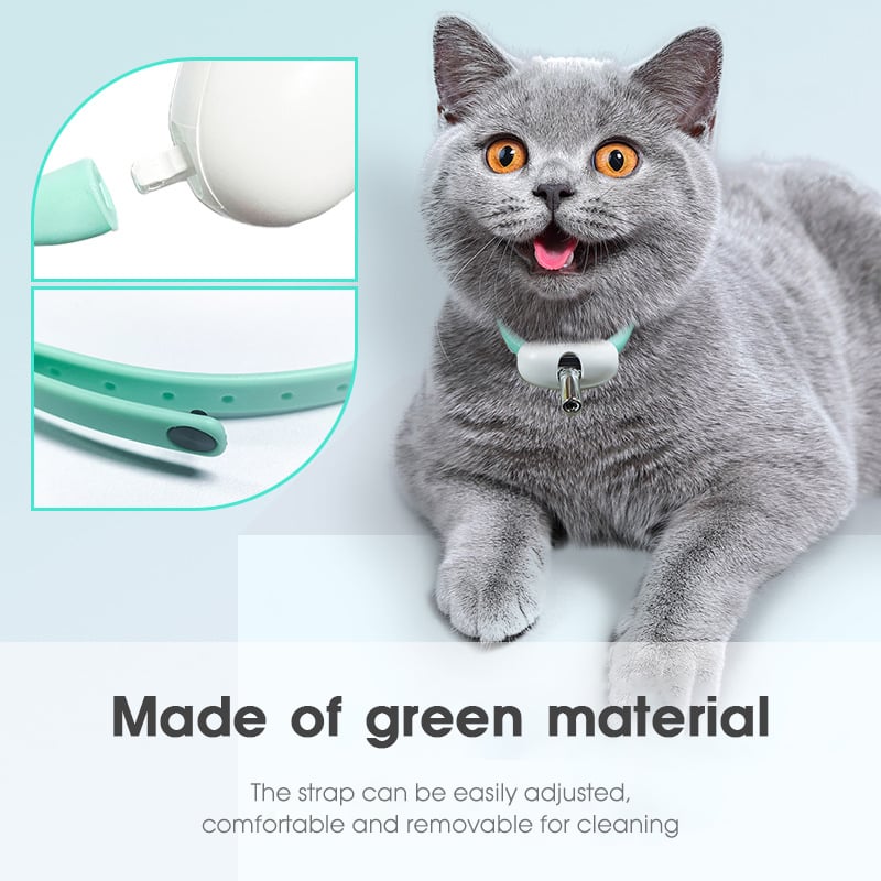 🔥Electric Smart Amusing Collar for Kitten