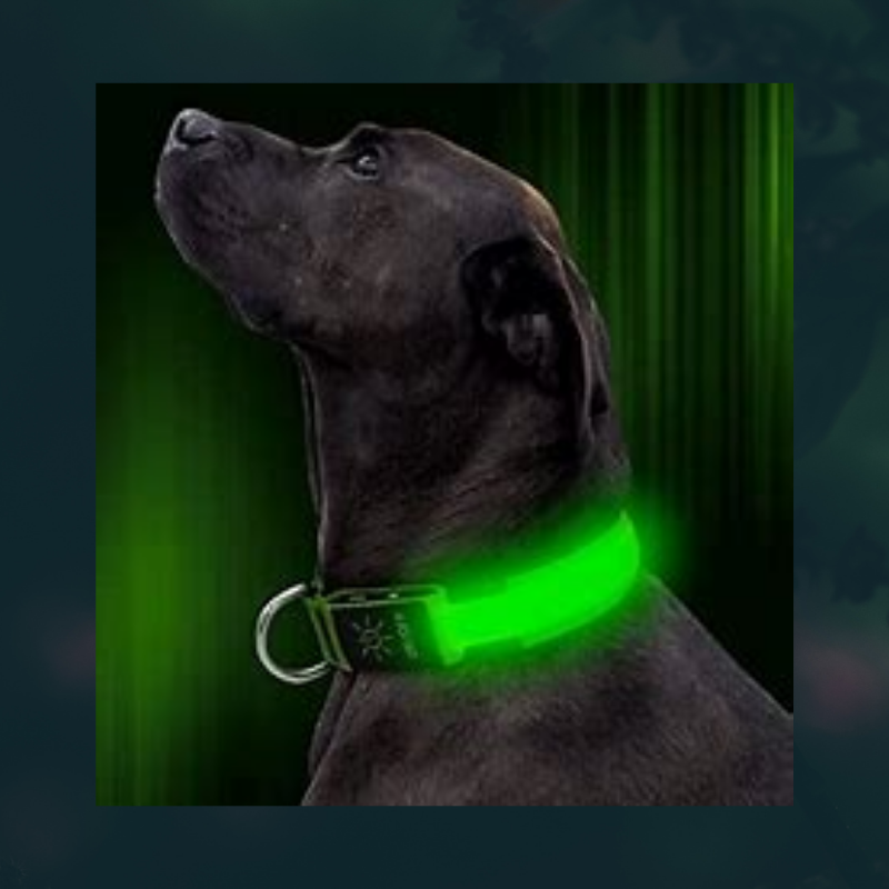 LED Dog Collar - USB Rechargeable - Glow In Dark