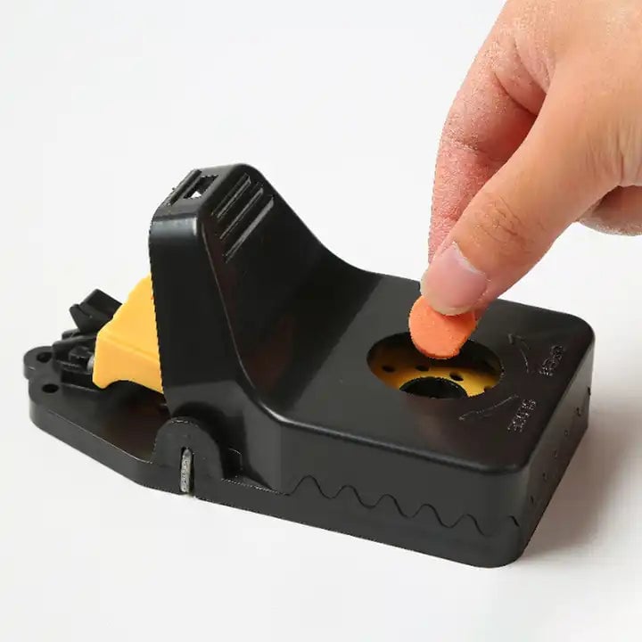 RAT TRAP