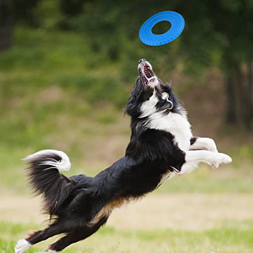 Nerf Dog Rubber Tire Flyer Dog Toy. Flying Disc. Lightweight. Durable. Floats in Water. Great for Beach and Pool. 10 Inch Diameter. for Medium/Large Breeds. Single Unit. Blue. Original