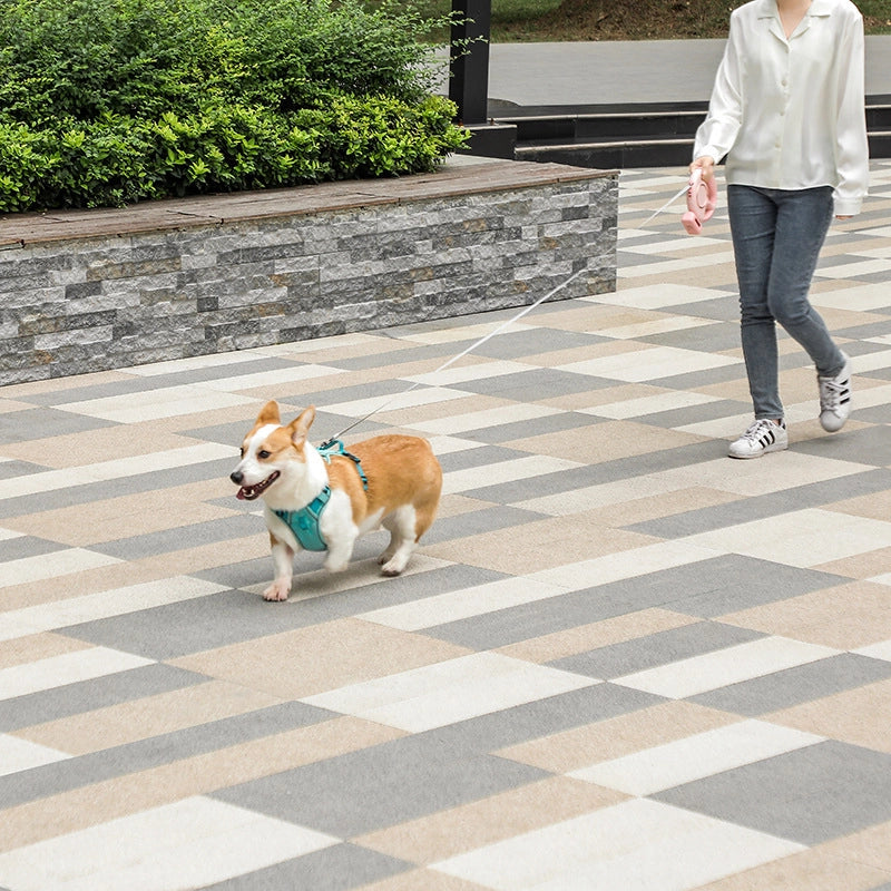 Minimalist ABS Solid Color Leash