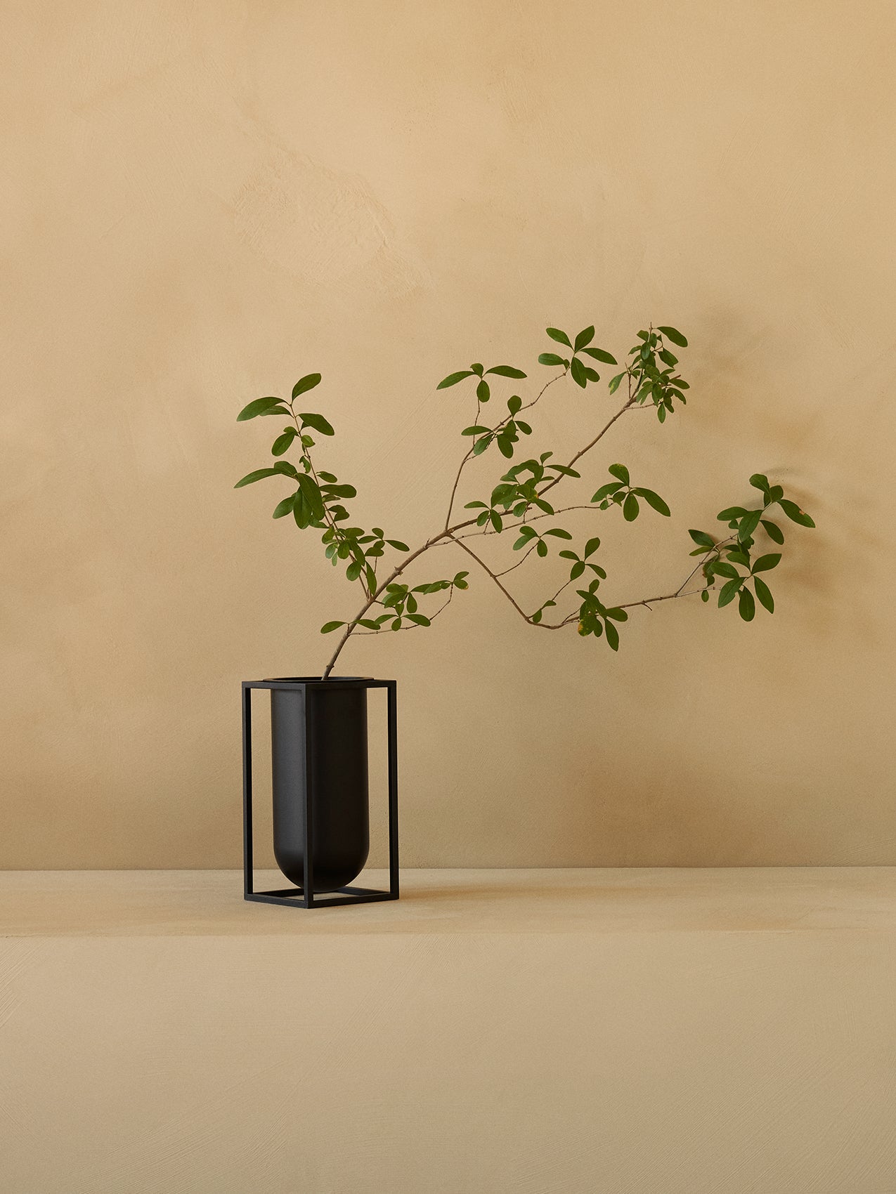 Kubus Vase. Lolo