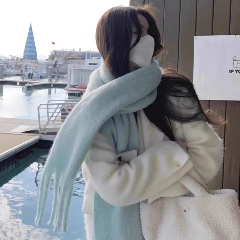 Women's Minimalist Classic Style Solid Color Imitation Cashmere Scarf