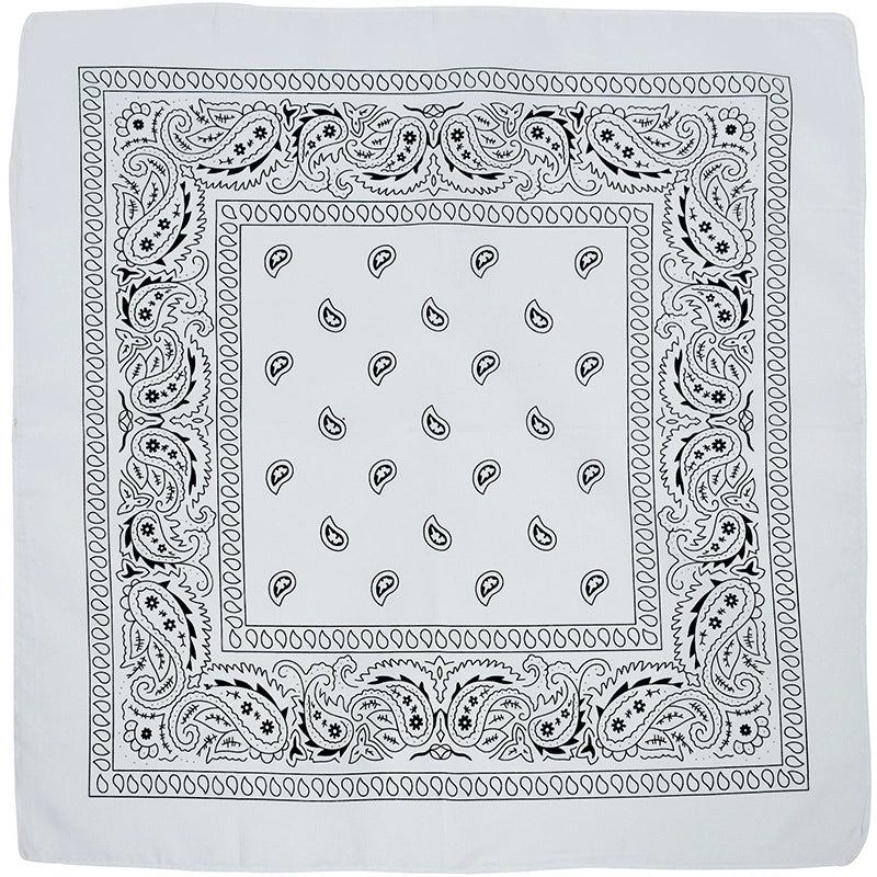 Unisex Hip-hop Paisley