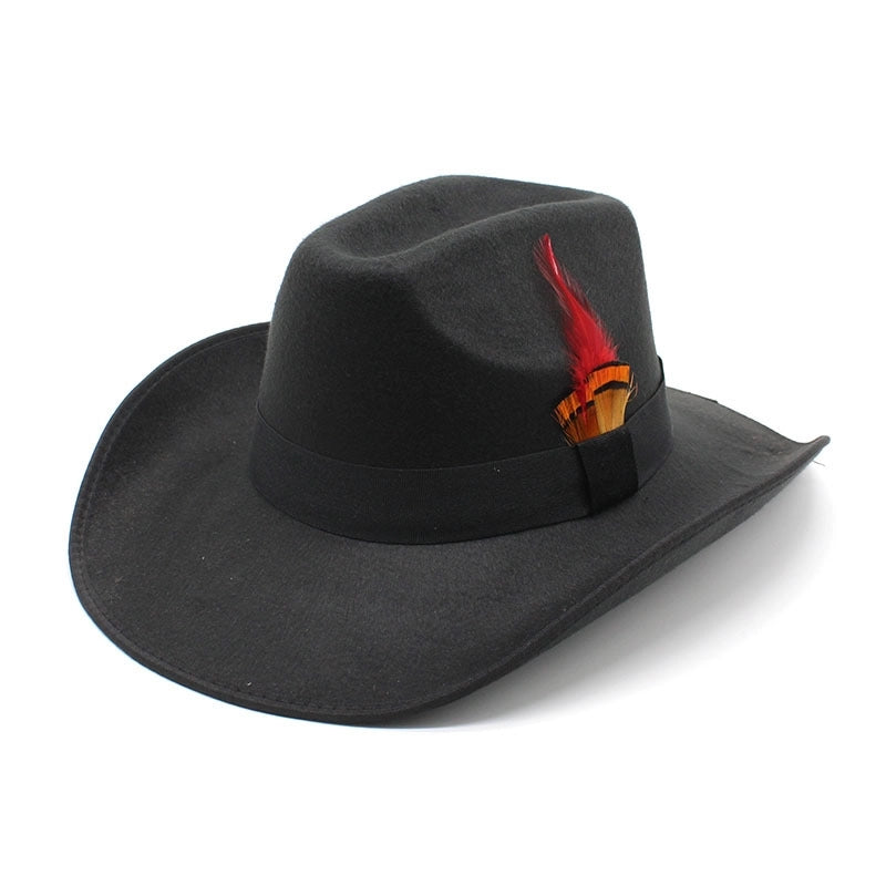 New Feather Hat Autumn And Winter Big Brim Hat Fashion Men's And Women's Cashmere Felt Hat Style Hat