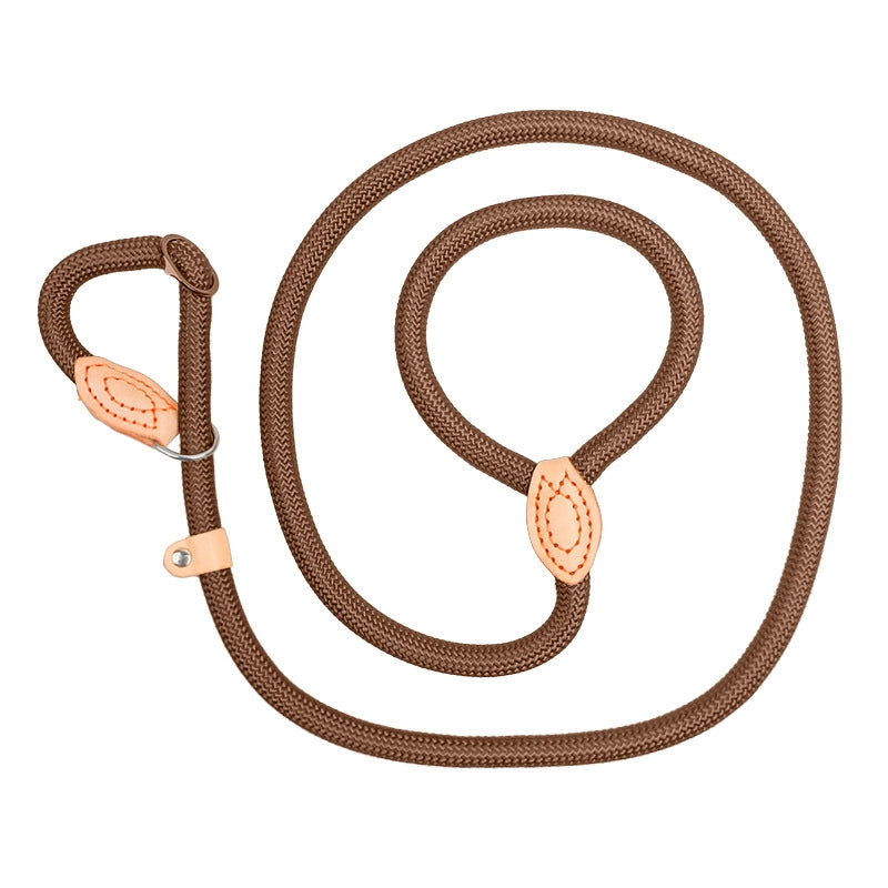Minimalist Classic Style Nylon Solid Color Leash