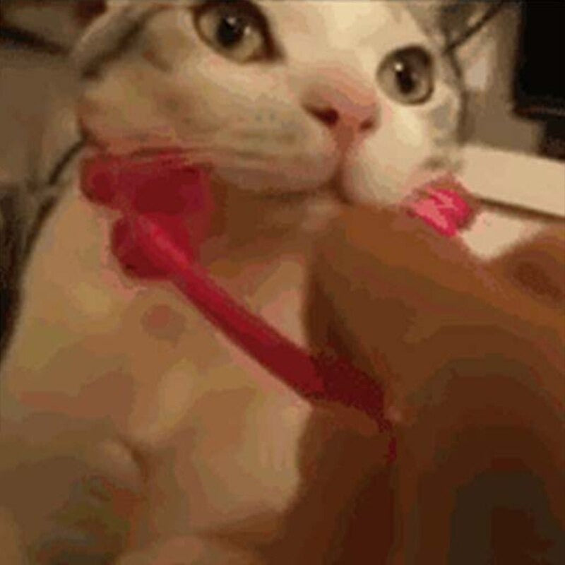 Pet Cat Massage Tool