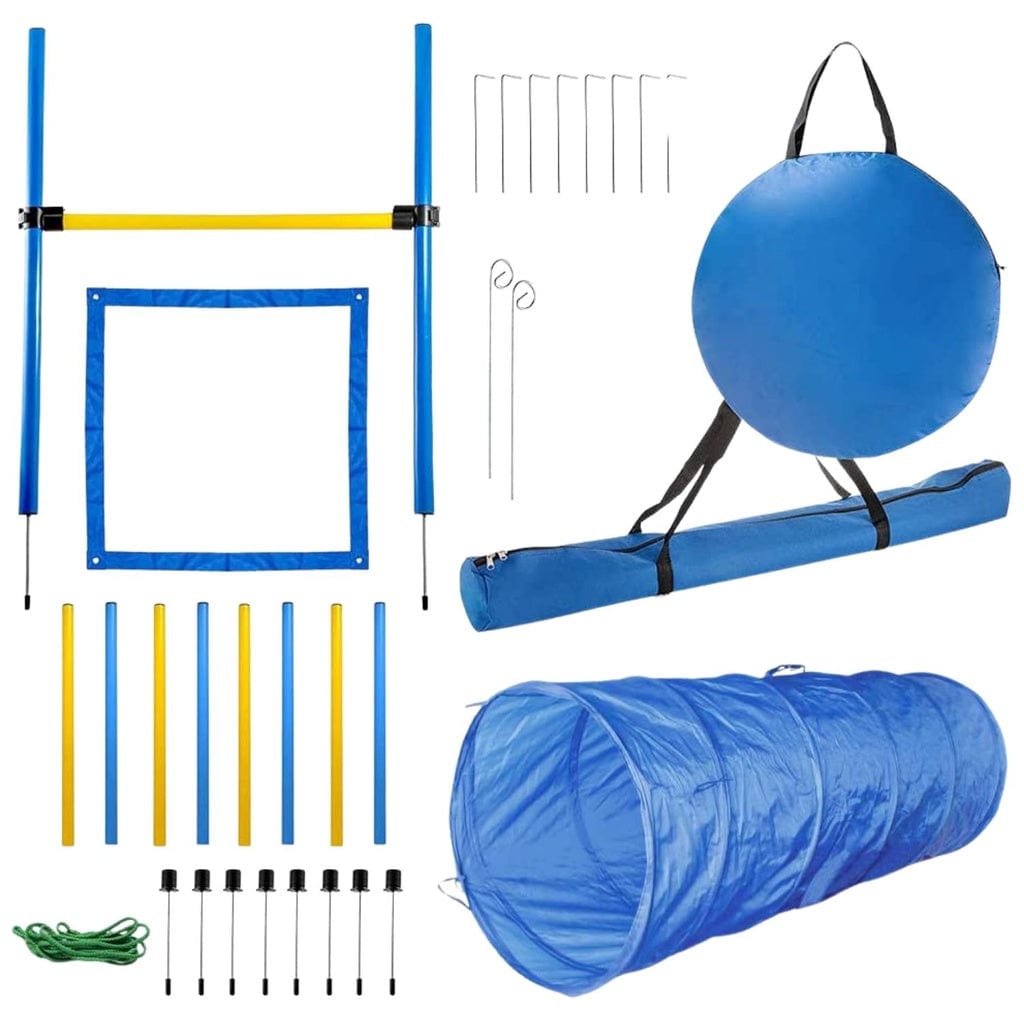 Dog Agility Training Set