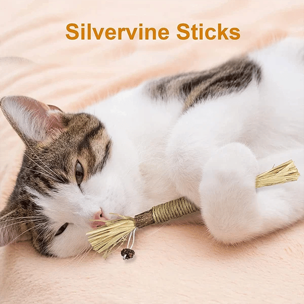 (🔥BIG SALE)Natural Silvervine Stick Cat Chew Toy--buy 5 get 5 free & free shipping10pcs