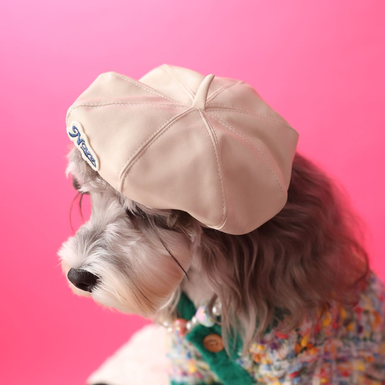 Letter Printed Sweet Dog Cat Hat